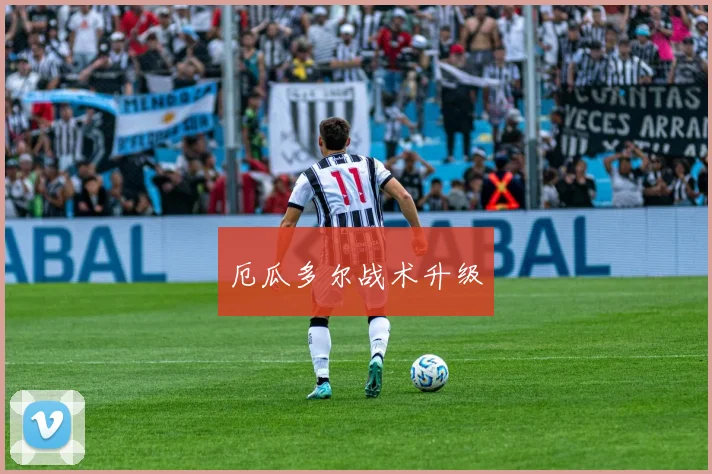 厄瓜多尔战术升级