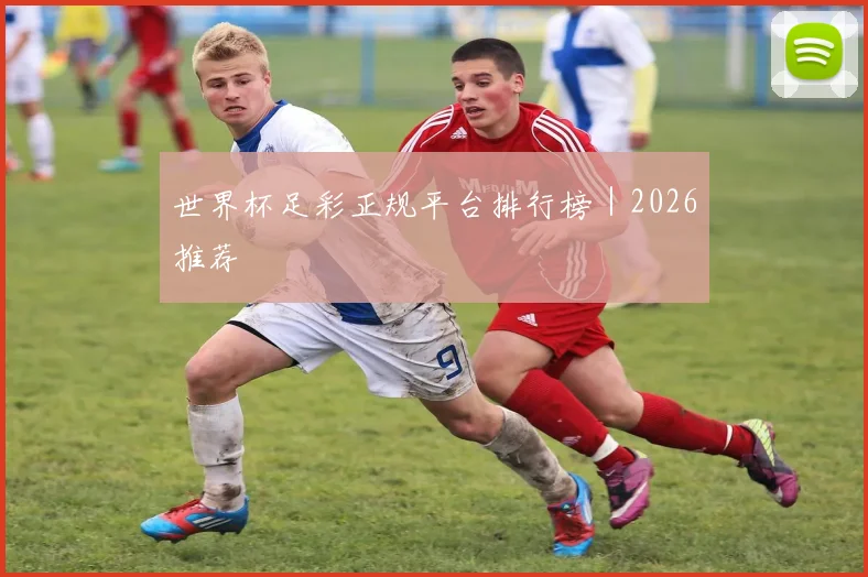 世界杯足彩正规平台排行榜｜2026推荐