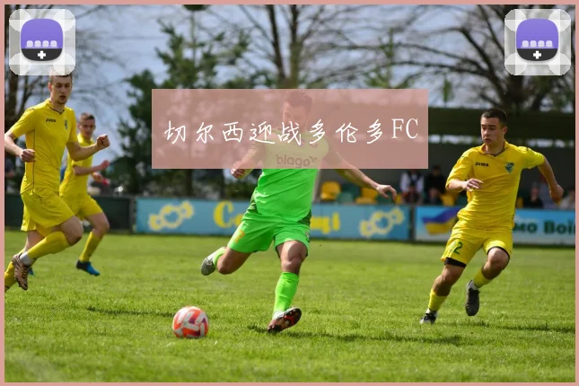 切尔西迎战多伦多FC